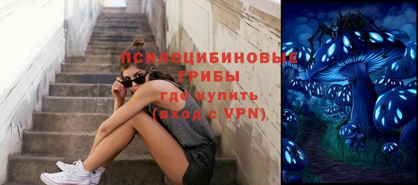 трава Магадан