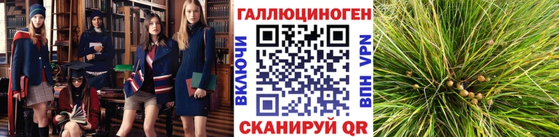 Галлюциногенные грибы мицелий MEGA зеркало Добрянка