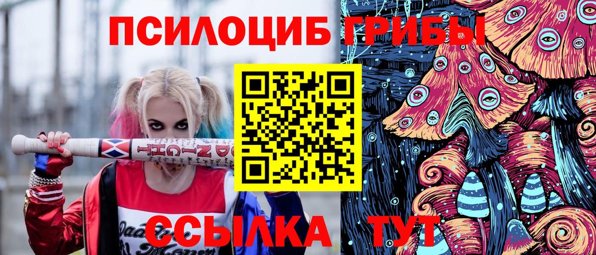 Псилоцибиновые грибы Psilocybine cubensis  Добрянка 