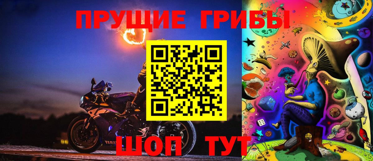 Псилоцибиновые грибы Cubensis Добрянка